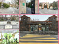 /album/trend/101-visit-yerevan-zoo-jpg/